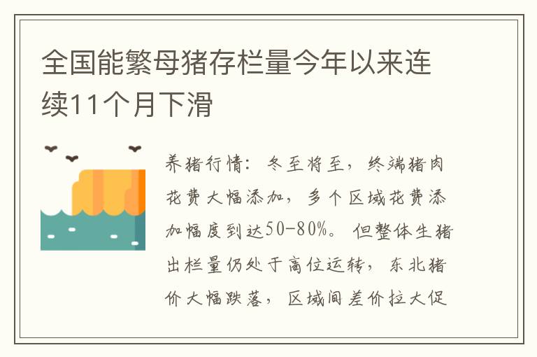 全国能繁母猪存栏量今年以来连续11个月下滑