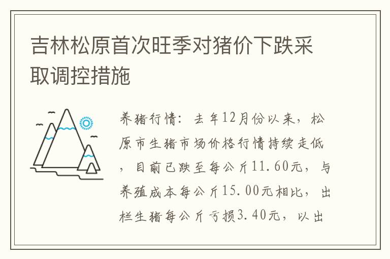 吉林松原首次旺季对猪价下跌采取调控措施