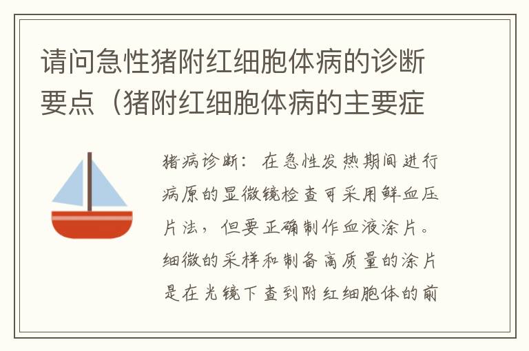 请问急性猪附红细胞体病的诊断要点（猪附红细胞体病的主要症状）