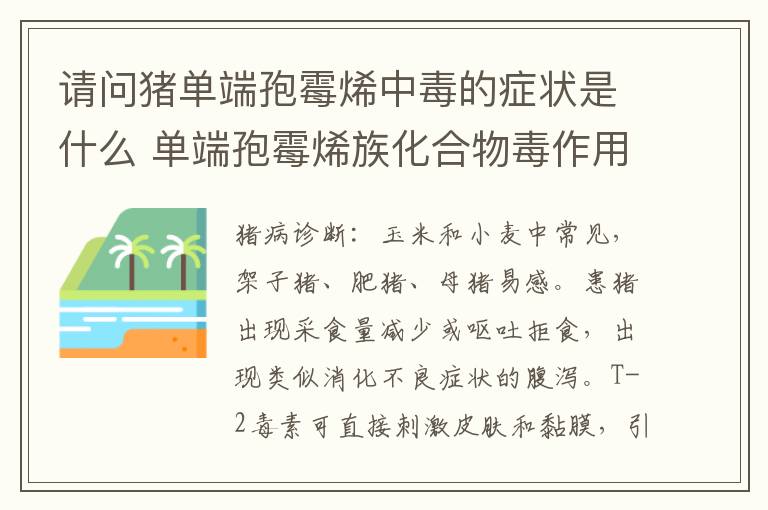 请问猪单端孢霉烯中毒的症状是什么 单端孢霉烯族化合物毒作用的共同特点