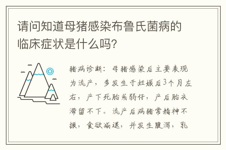 请问知道母猪感染布鲁氏菌病的临床症状是什么吗？