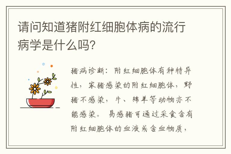 请问知道猪附红细胞体病的流行病学是什么吗？