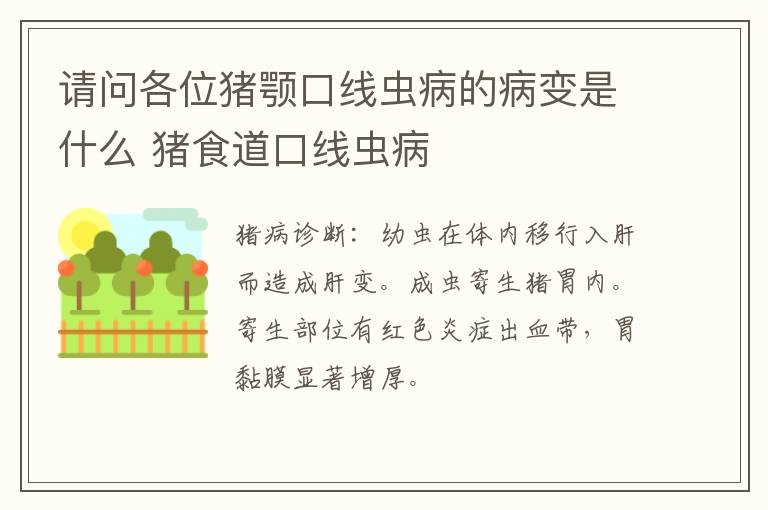 请问各位猪颚口线虫病的病变是什么 猪食道口线虫病