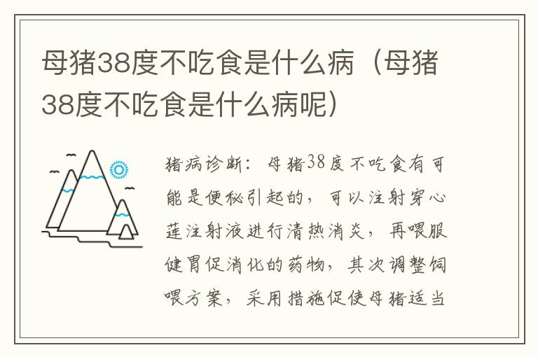 母猪38度不吃食是什么病（母猪38度不吃食是什么病呢）