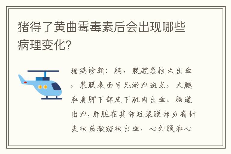 猪得了黄曲霉毒素后会出现哪些病理变化？