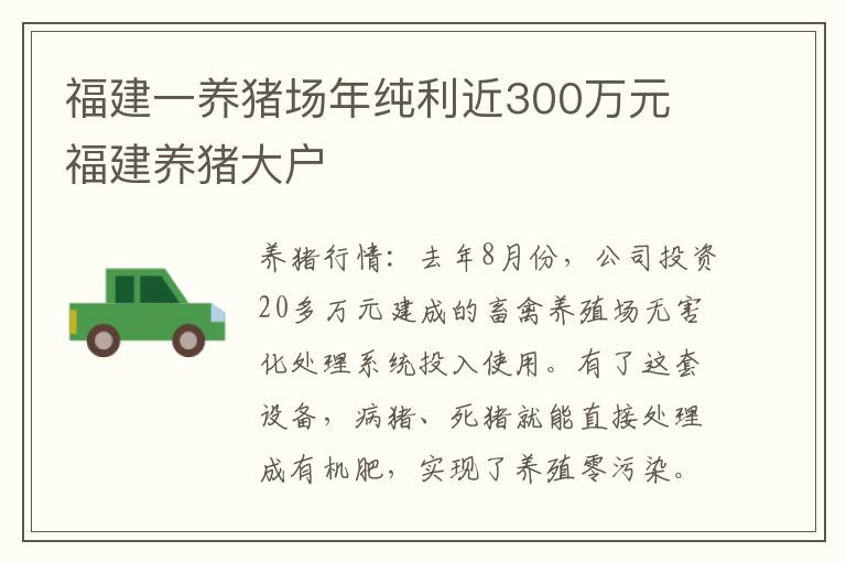 福建一养猪场年纯利近300万元 福建养猪大户