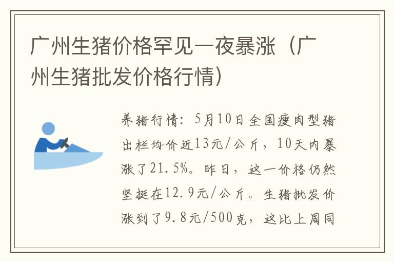 广州生猪价格罕见一夜暴涨（广州生猪批发价格行情）