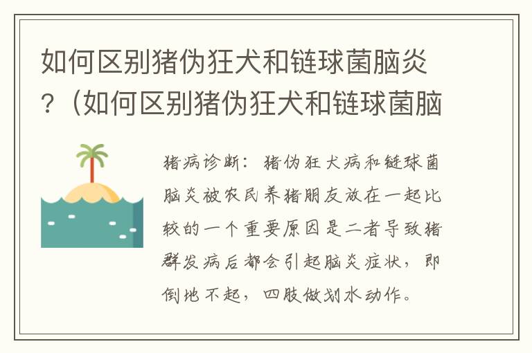 如何区别猪伪狂犬和链球菌脑炎?（如何区别猪伪狂犬和链球菌脑炎病毒）