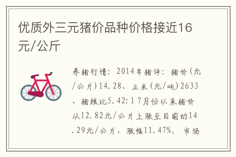 优质外三元猪价品种价格接近16元/公斤