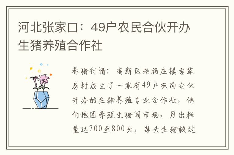 河北张家口：49户农民合伙开办生猪养殖合作社