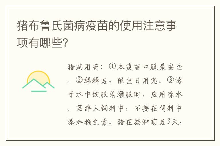 猪布鲁氏菌病疫苗的使用注意事项有哪些？