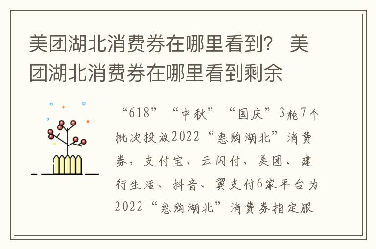 美团湖北消费券在哪里看到？ 美团湖北消费券在哪里看到剩余