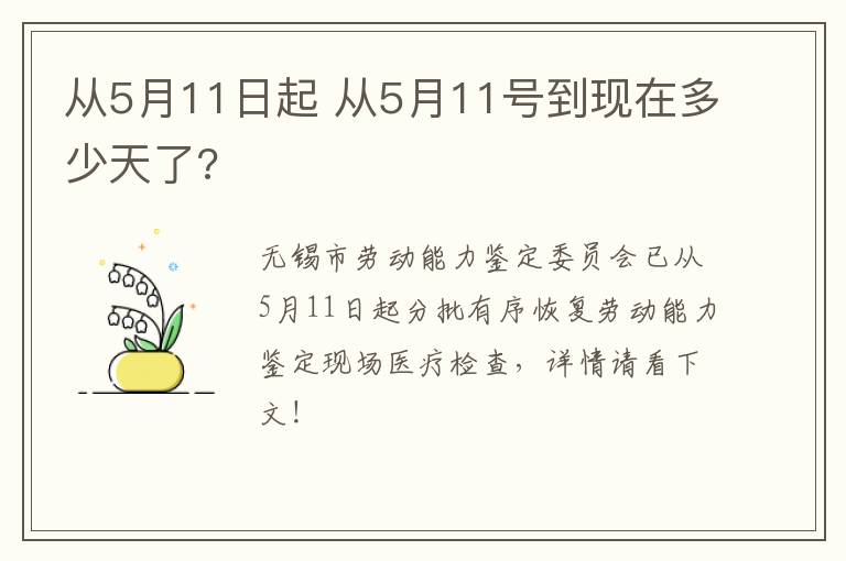 从5月11日起 从5月11号到现在多少天了?