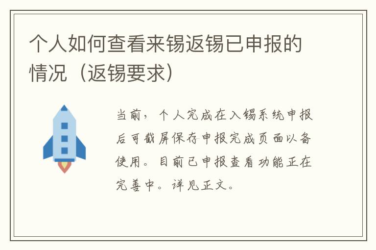 个人如何查看来锡返锡已申报的情况（返锡要求）