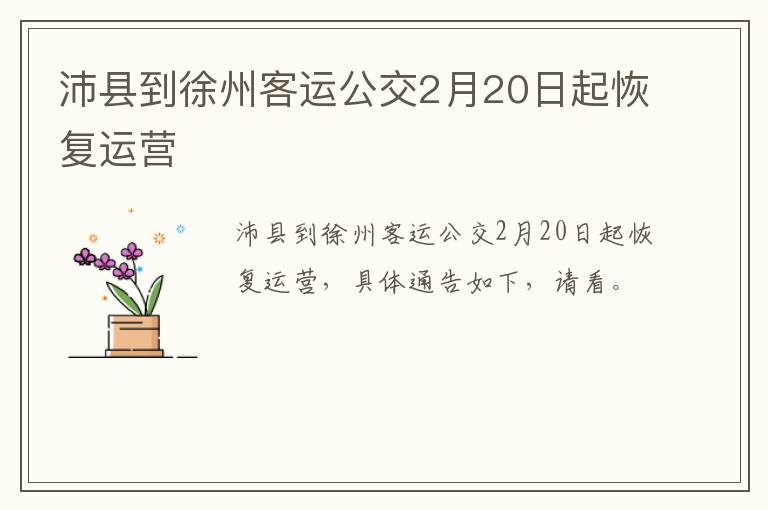 沛县到徐州客运公交2月20日起恢复运营