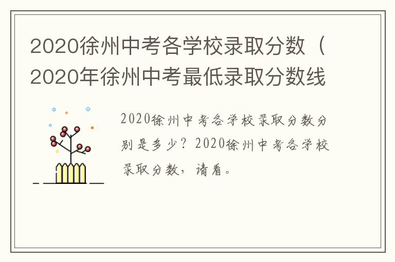 2020徐州中考各学校录取分数（2020年徐州中考最低录取分数线）