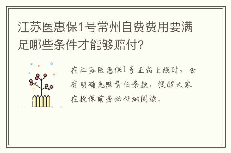 江苏医惠保1号常州自费费用要满足哪些条件才能够赔付？