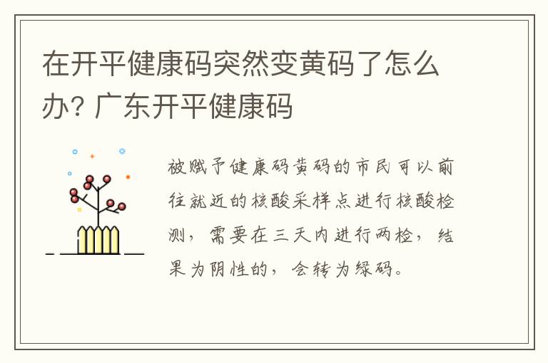 在开平健康码突然变黄码了怎么办? 广东开平健康码