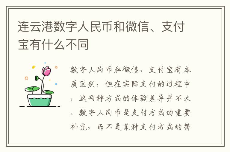 连云港数字人民币和微信、支付宝有什么不同