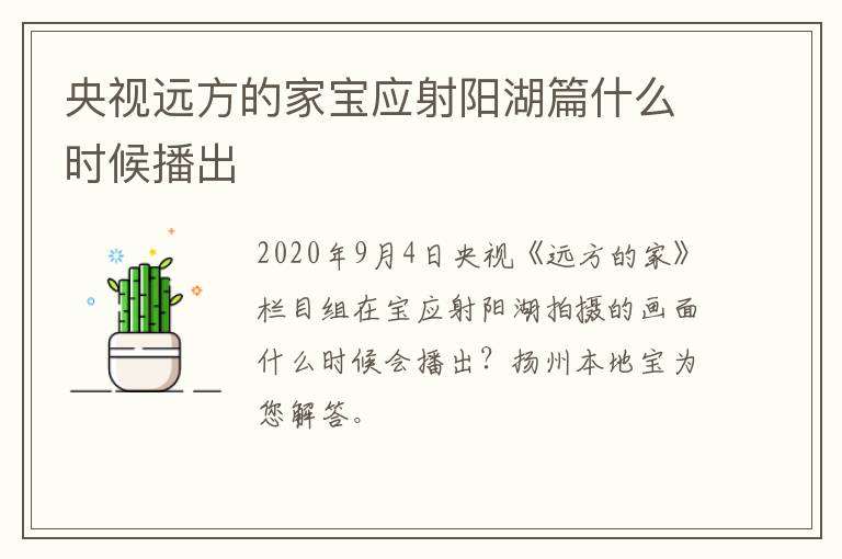 央视远方的家宝应射阳湖篇什么时候播出