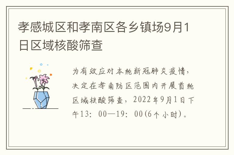 孝感城区和孝南区各乡镇场9月1日区域核酸筛查