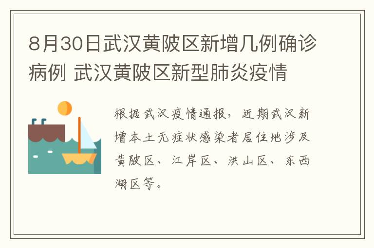 8月30日武汉黄陂区新增几例确诊病例 武汉黄陂区新型肺炎疫情