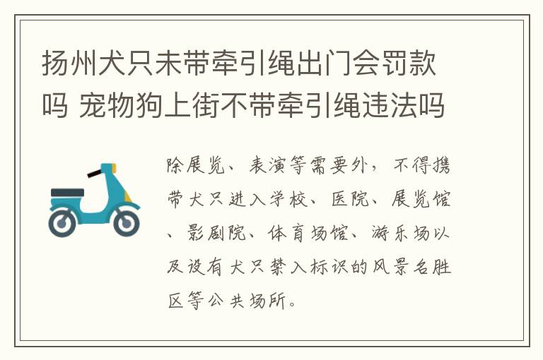 扬州犬只未带牵引绳出门会罚款吗 宠物狗上街不带牵引绳违法吗