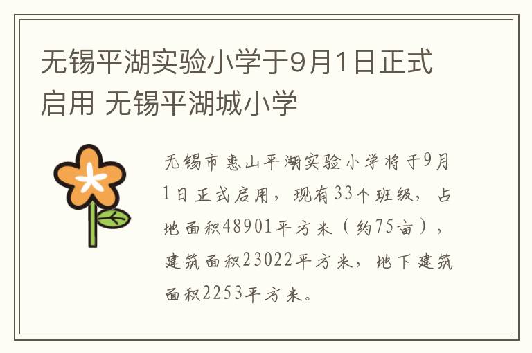 无锡平湖实验小学于9月1日正式启用 无锡平湖城小学