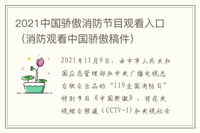 2021中国骄傲消防节目观看入口（消防观看中国骄傲稿件）