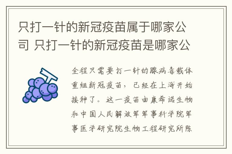 只打一针的新冠疫苗属于哪家公司 只打一针的新冠疫苗是哪家公司的