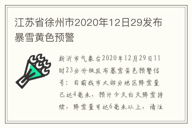 江苏省徐州市2020年12日29发布暴雪黄色预警