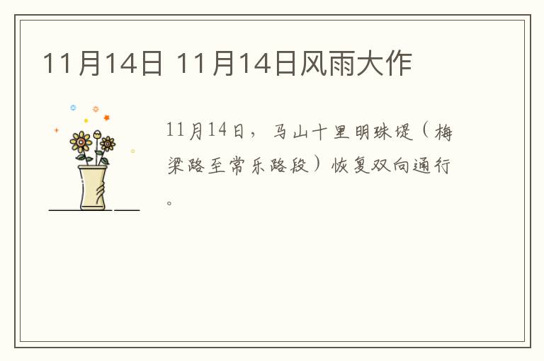 11月14日 11月14日风雨大作