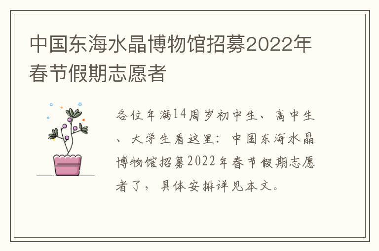 中国东海水晶博物馆招募2022年春节假期志愿者