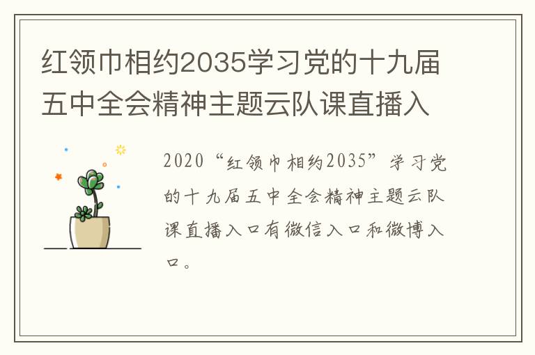 红领巾相约2035学习党的十九届五中全会精神主题云队课直播入口+回放入口