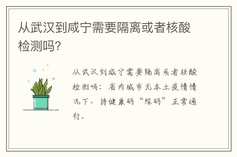 从武汉到咸宁需要隔离或者核酸检测吗？