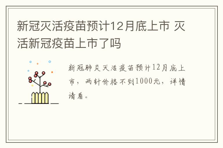 新冠灭活疫苗预计12月底上市 灭活新冠疫苗上市了吗