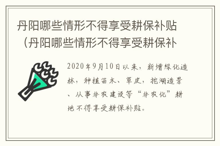 丹阳哪些情形不得享受耕保补贴（丹阳哪些情形不得享受耕保补贴待遇）