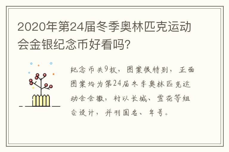 2020年第24届冬季奥林匹克运动会金银纪念币好看吗？