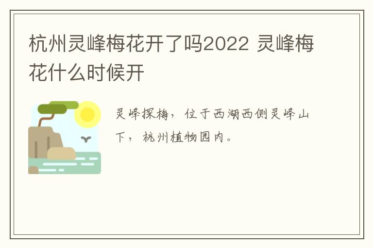 杭州灵峰梅花开了吗2022 灵峰梅花什么时候开