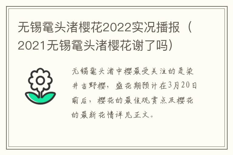 无锡鼋头渚樱花2022实况播报（2021无锡鼋头渚樱花谢了吗）