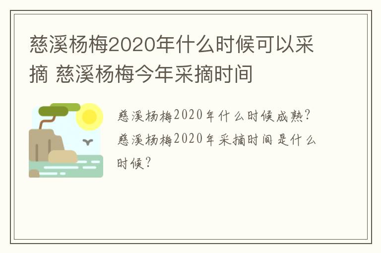 慈溪杨梅2020年什么时候可以采摘 慈溪杨梅今年采摘时间