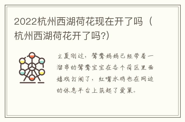 2022杭州西湖荷花现在开了吗（杭州西湖荷花开了吗?）