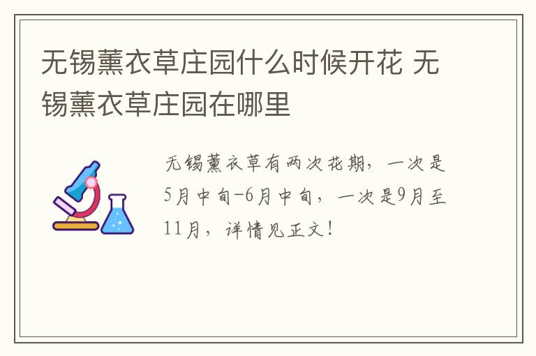 无锡薰衣草庄园什么时候开花 无锡薰衣草庄园在哪里