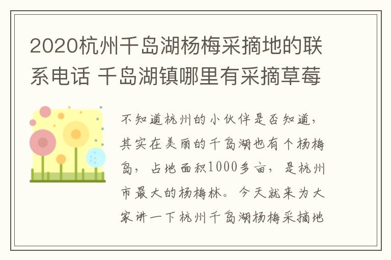 2020杭州千岛湖杨梅采摘地的联系电话 千岛湖镇哪里有采摘草莓园