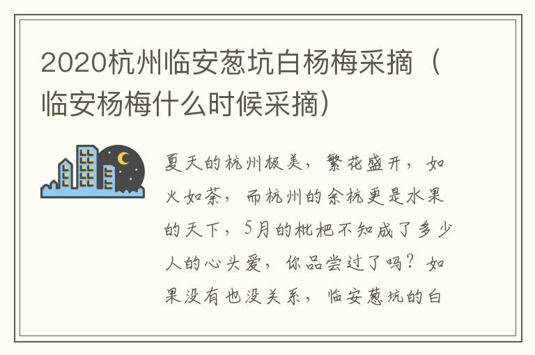 2020杭州临安葱坑白杨梅采摘（临安杨梅什么时候采摘）