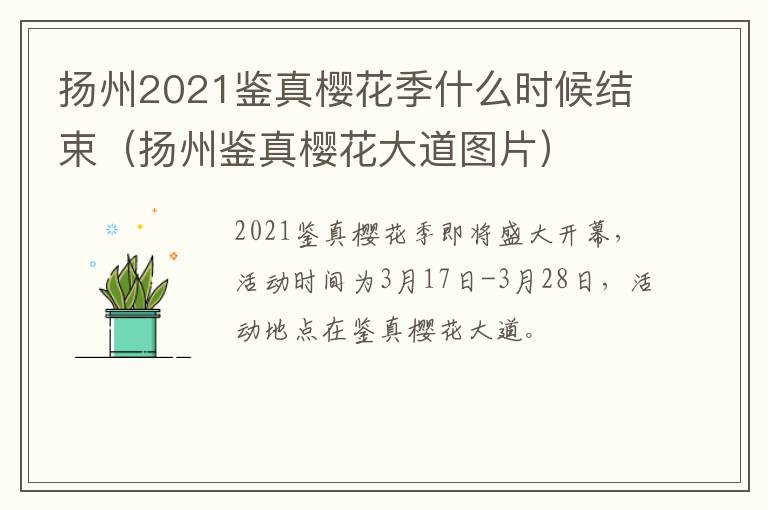 扬州2021鉴真樱花季什么时候结束（扬州鉴真樱花大道图片）