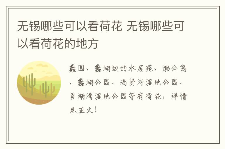 无锡哪些可以看荷花 无锡哪些可以看荷花的地方