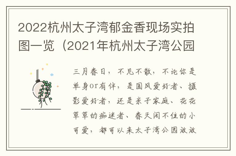 2022杭州太子湾郁金香现场实拍图一览（2021年杭州太子湾公园郁金香什么时候开）