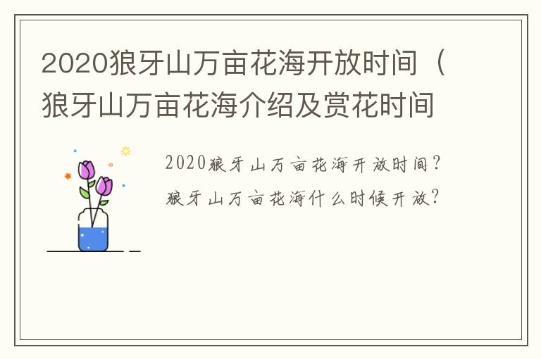 2020狼牙山万亩花海开放时间（狼牙山万亩花海介绍及赏花时间）