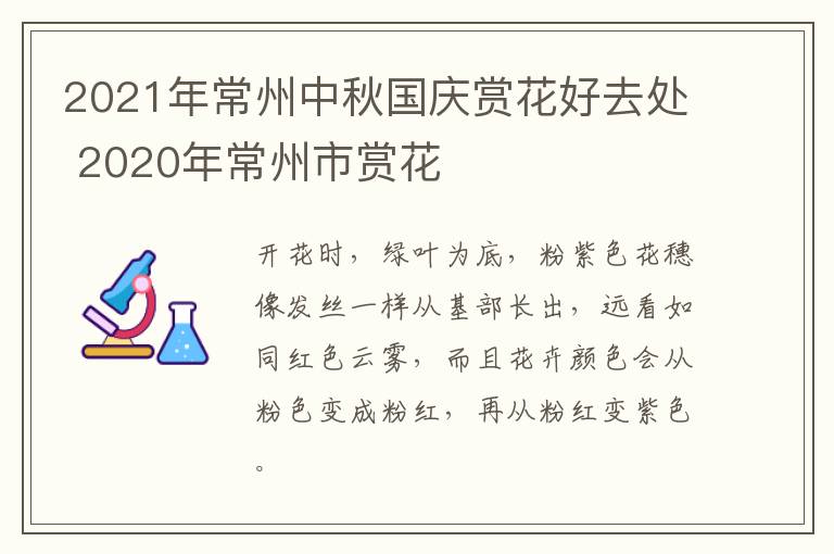 2021年常州中秋国庆赏花好去处 2020年常州市赏花